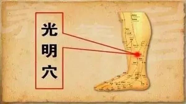 微信图片_20211217113118.jpg