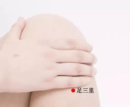 足三里.jpg