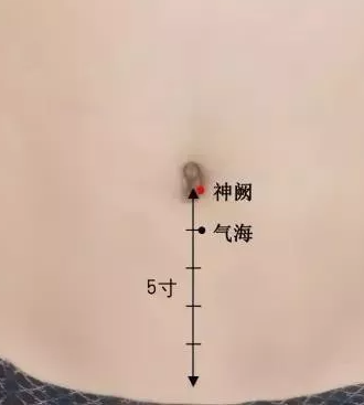 神阙穴.png