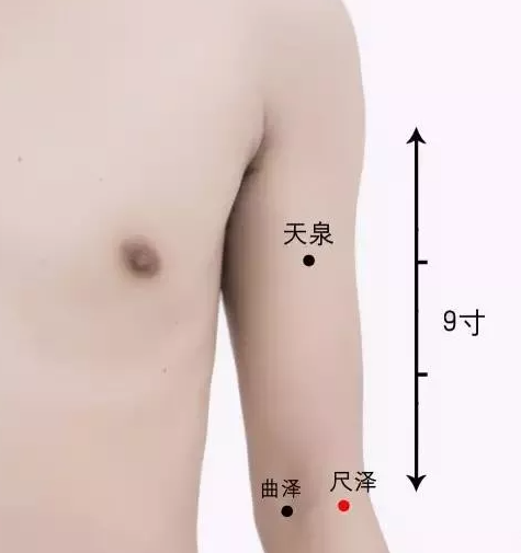 尺泽.png