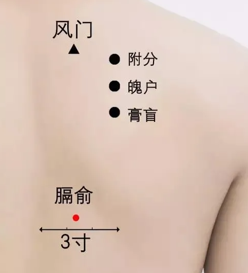 俞3寸.png
