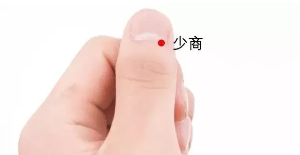 少商.png